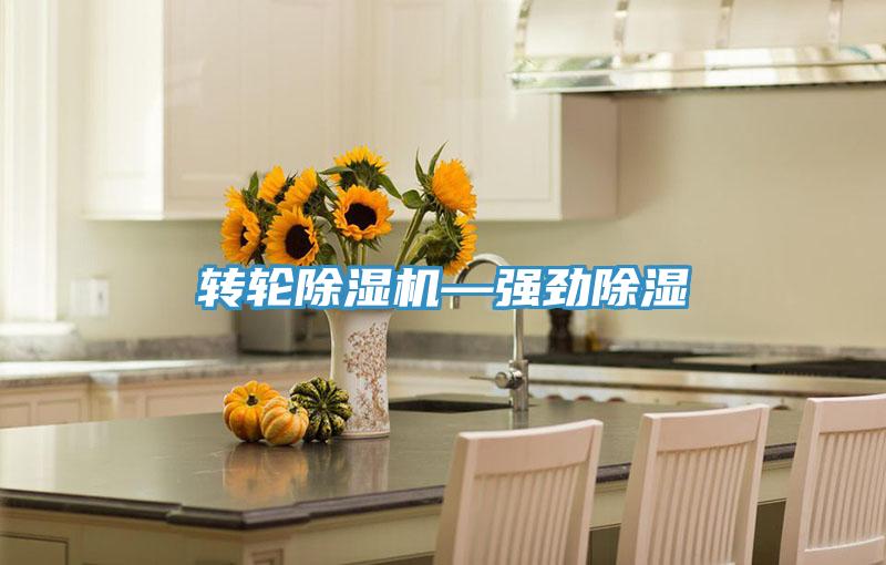 轉輪草莓污视频在线看—強勁除濕