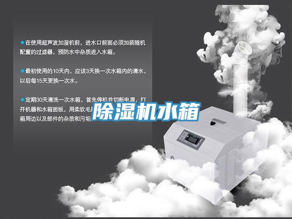 草莓污视频在线看水箱