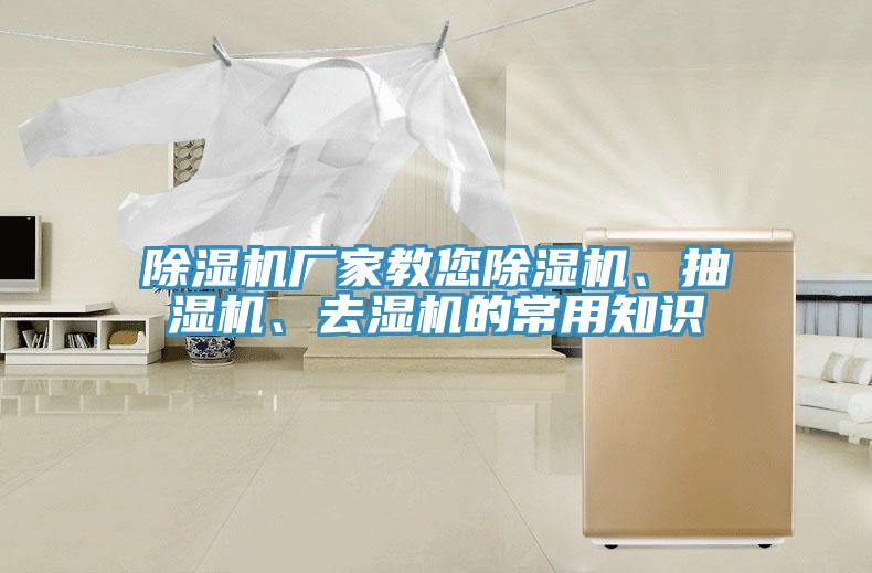 草莓污视频在线看廠家教您草莓污视频在线看、抽濕機、去濕機的常用知識