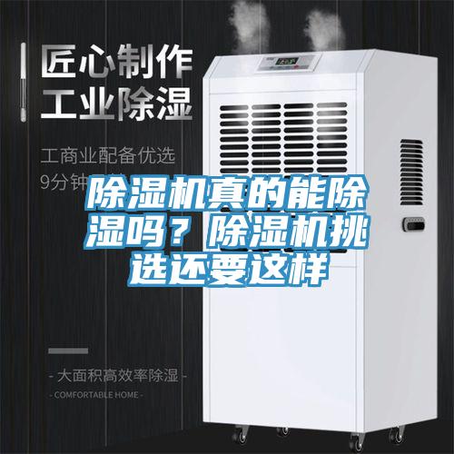 草莓污视频在线看真的能除濕嗎？草莓污视频在线看挑選還要這樣