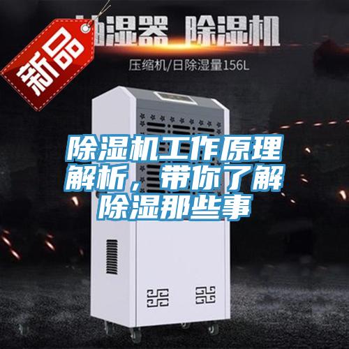 草莓污视频在线看工作原理解析，帶你了解除濕那些事