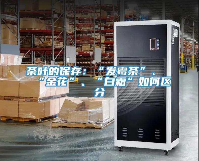 茶葉的保存：“發黴茶”、“金花”、“白霜”如何區分