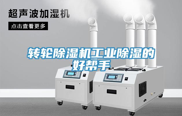 轉輪草莓污视频在线看工業除濕的好幫手