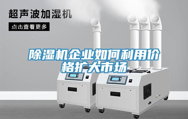 草莓污视频在线看企業如何利用價格擴大市場