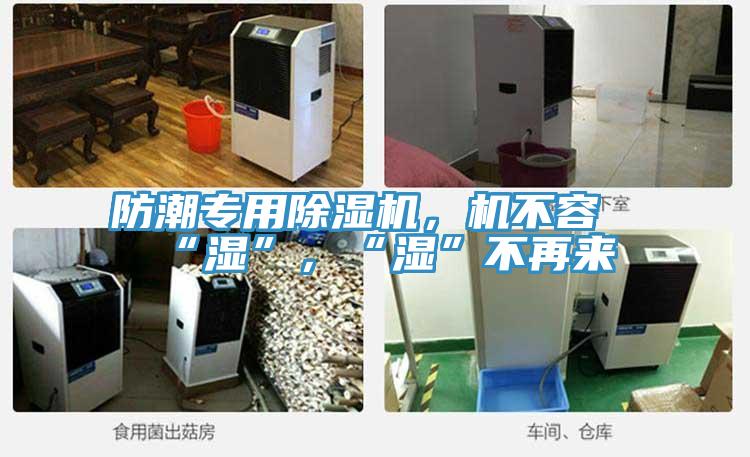 防潮專用草莓污视频在线看，機不容“濕”，“濕”不再來