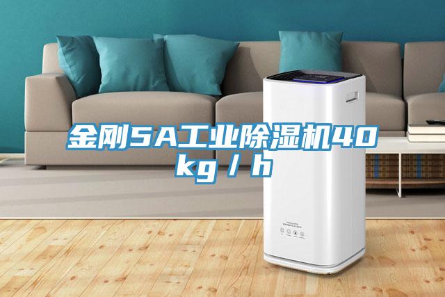 金剛5A工業草莓污视频在线看40kg／h