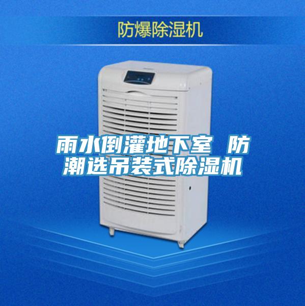 雨水倒灌地下室 防潮選吊裝式草莓污视频在线看