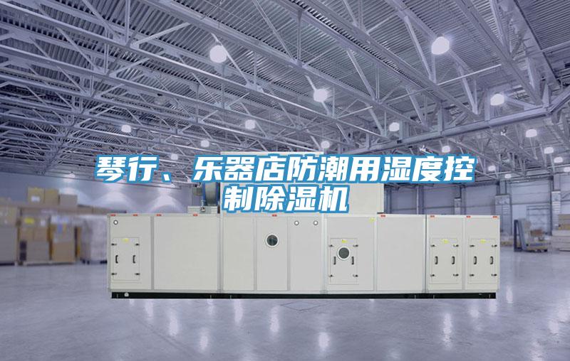 琴行、樂器店防潮用濕度控製草莓污视频在线看