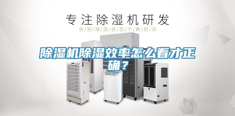 草莓污视频在线看除濕效率怎麽看才正確？