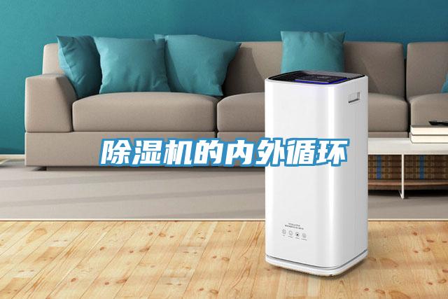 草莓污视频在线看的內外循環