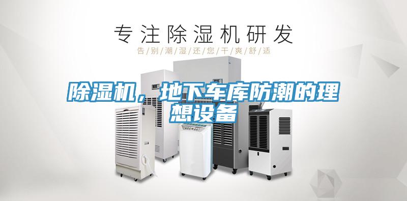 草莓污视频在线看，地下車庫防潮的理想設備
