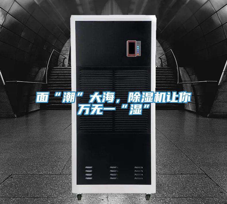 麵“潮”大海，草莓污视频在线看讓你萬無一“濕”