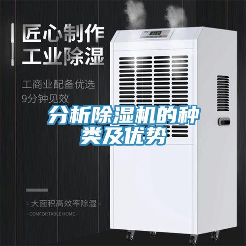 分析草莓污视频在线看的種類及優勢