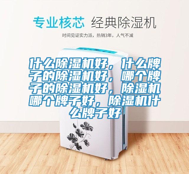 什麽草莓污视频在线看好，什麽牌子的草莓污视频在线看好，哪個牌子的草莓污视频在线看好，草莓污视频在线看哪個牌子好，草莓污视频在线看什麽牌子好