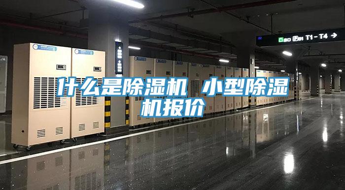 什麽是草莓污视频在线看 小型草莓污视频在线看報價