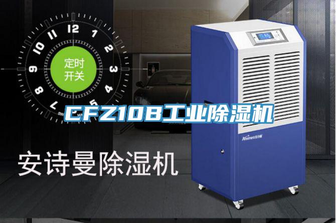 CFZ10B工業草莓污视频在线看