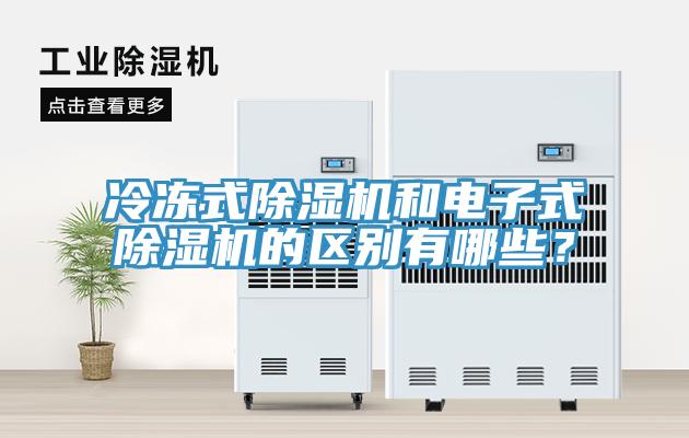 冷凍式草莓污视频在线看和電子式草莓污视频在线看的區別有哪些？