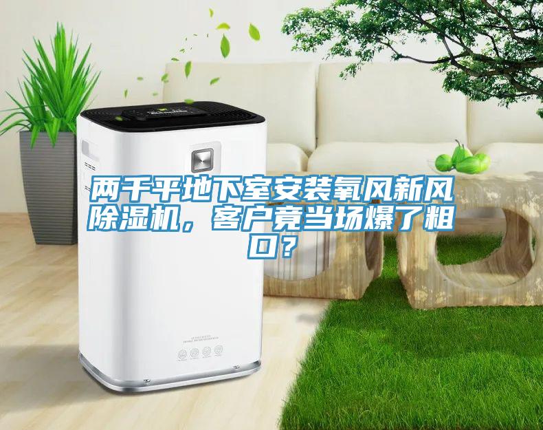 兩千平地下室安裝氧風新風草莓污视频在线看，客戶竟當場爆了粗口？