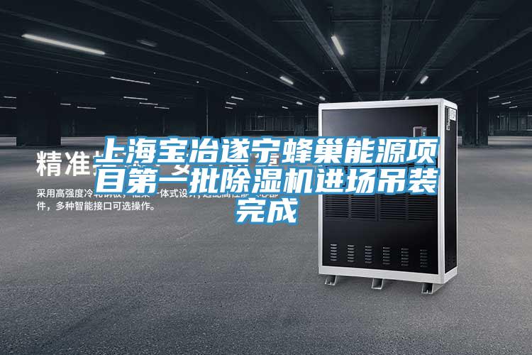 上海寶冶遂寧蜂巢能源項目第一批草莓污视频在线看進場吊裝完成