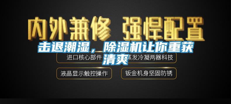 擊退潮濕，草莓污视频在线看讓你重獲清爽