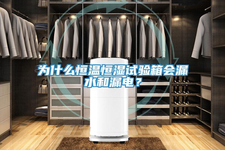 為什麽恒溫恒濕試驗箱會漏水和漏電？