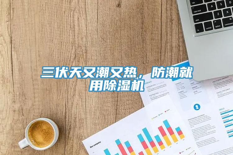三伏天又潮又熱，防潮就用草莓污视频在线看