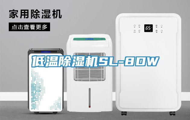 低溫草莓污视频在线看SL-8DW