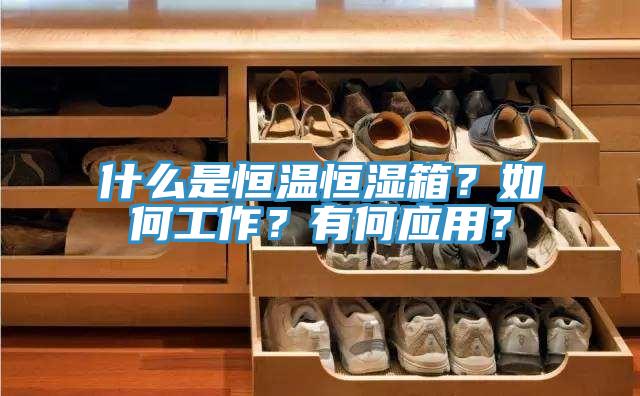 什麽是恒溫恒濕箱？如何工作？有何應用？
