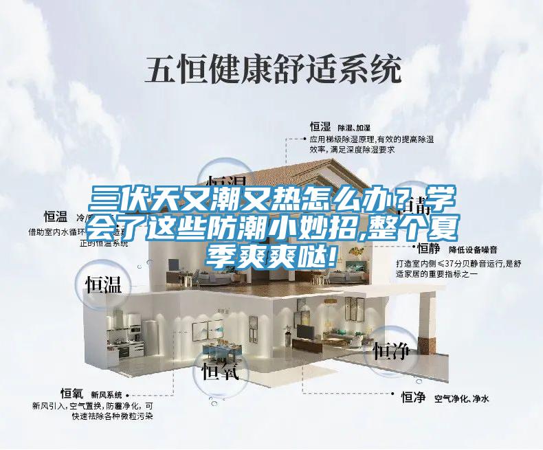 三伏天又潮又熱怎麽辦？學會了這些防潮小妙招,整個夏季爽爽噠!