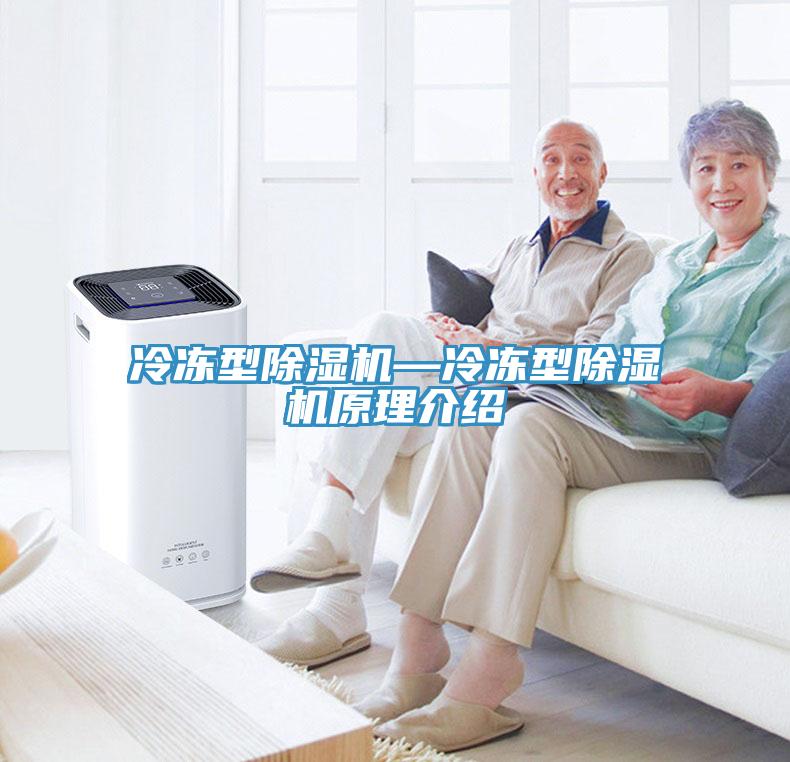 冷凍型草莓污视频在线看—冷凍型草莓污视频在线看原理介紹