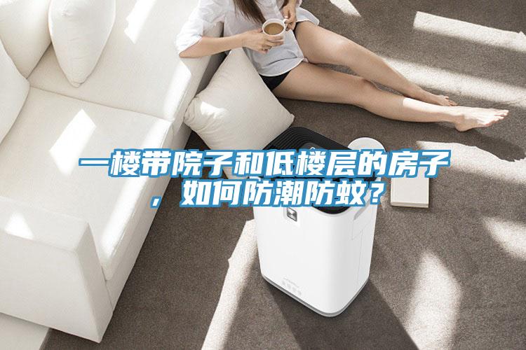 一樓帶院子和低樓層的房子，如何防潮防蚊？