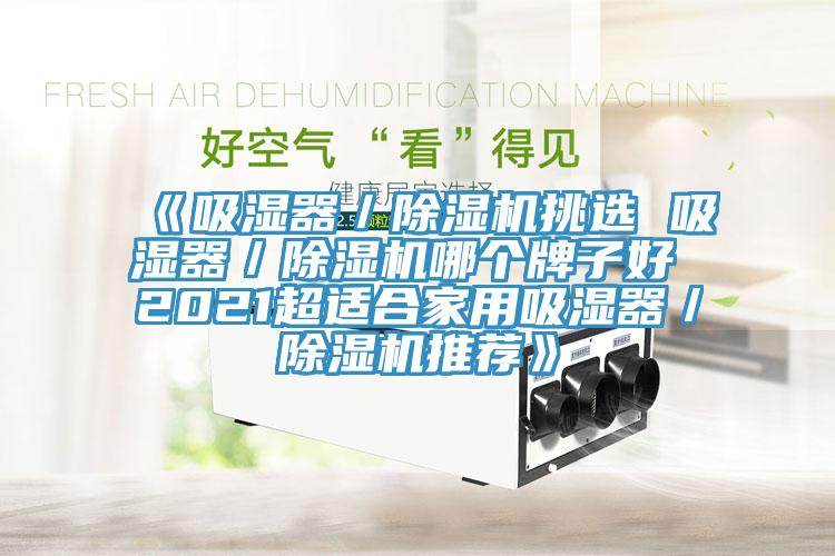 《吸濕器／草莓污视频在线看挑選 吸濕器／草莓污视频在线看哪個牌子好 2021超適合家用吸濕器／草莓污视频在线看推薦》