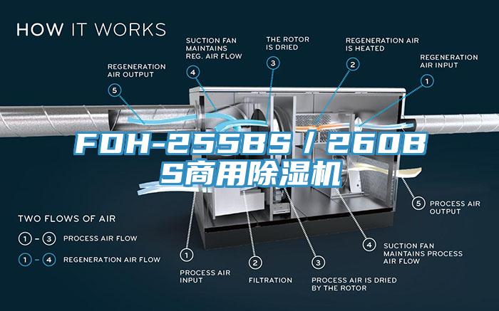 FDH-255BS／260BS商用草莓污视频在线看
