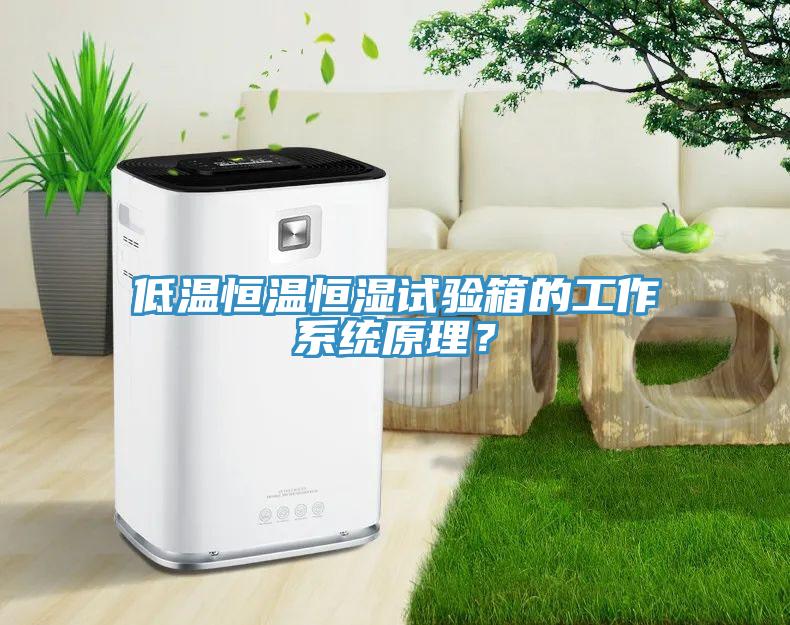 低溫恒溫恒濕試驗箱的工作係統原理？