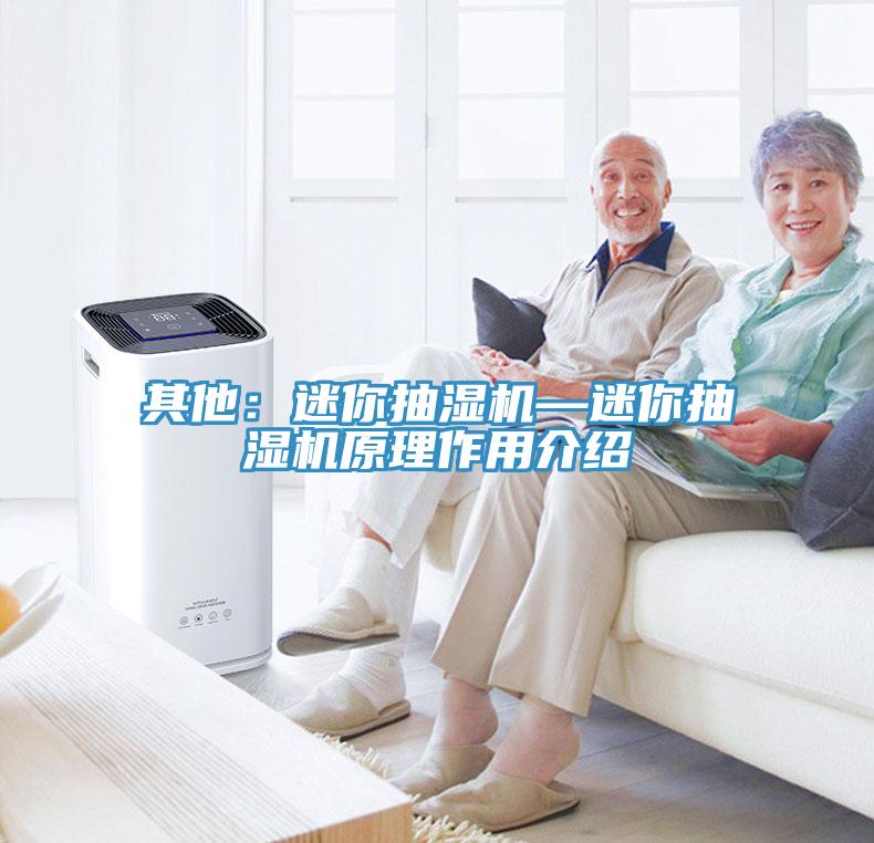 其他：迷你抽濕機—迷你抽濕機原理作用介紹