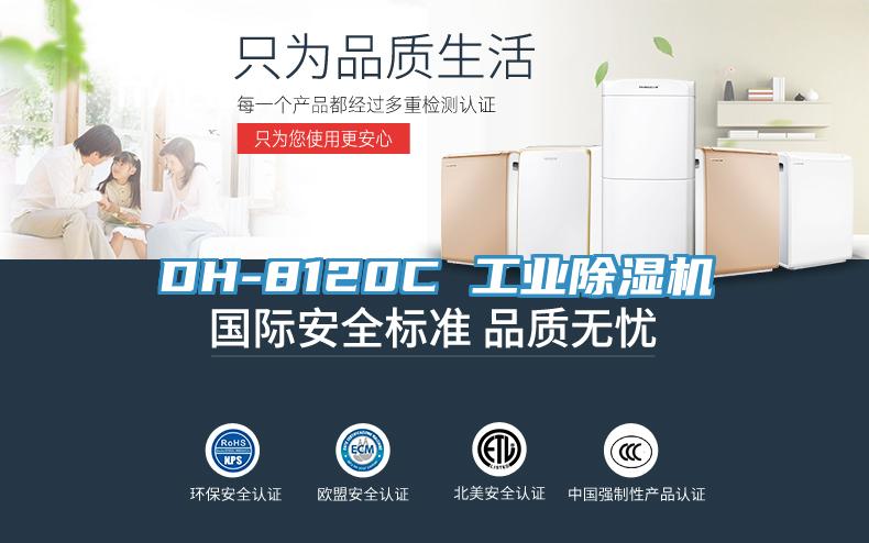 DH-8120C 工業草莓污视频在线看