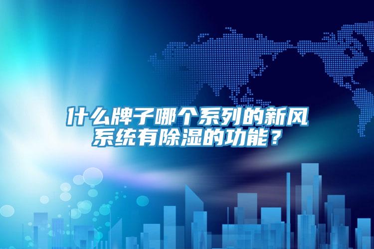 什麽牌子哪個係列的新風係統有除濕的功能？
