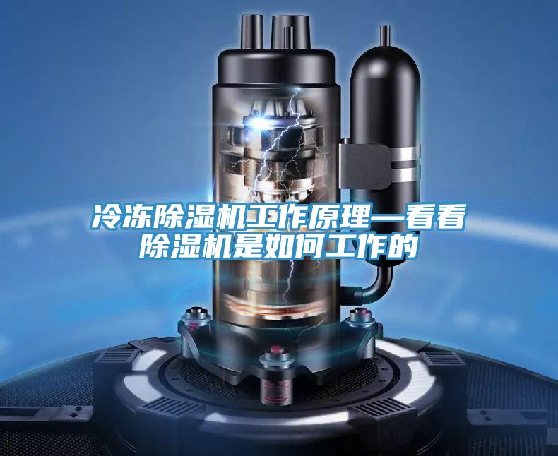 冷凍草莓污视频在线看工作原理—看看草莓污视频在线看是如何工作的