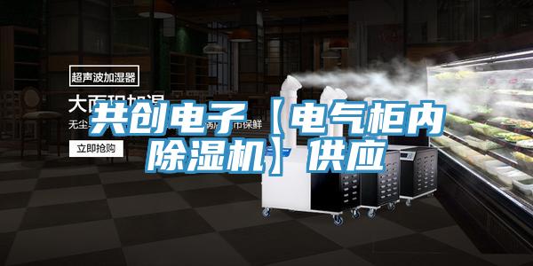 共創電子【電氣櫃內草莓污视频在线看】供應