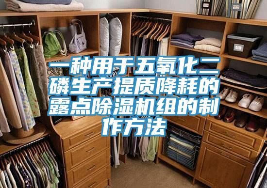 一種用於五氧化二磷生產提質降耗的露點草莓污视频在线看組的製作方法