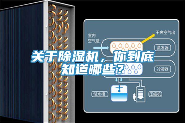 關於草莓污视频在线看，你到底知道哪些？