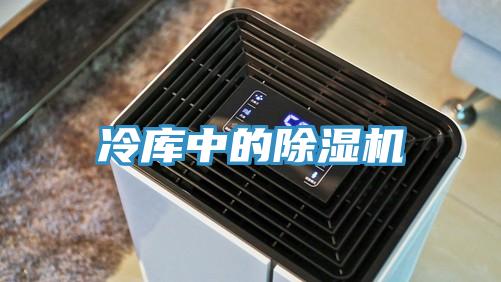 冷庫中的草莓污视频在线看