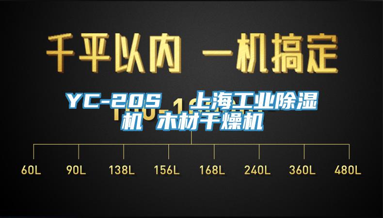 YC-20S  上海工業草莓污视频在线看 木材幹燥機