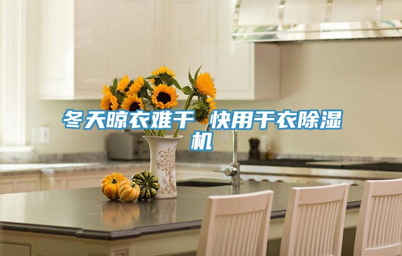 冬天晾衣難幹 快用幹衣草莓污视频在线看