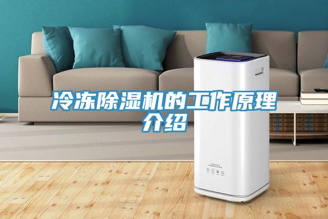 冷凍草莓污视频在线看的工作原理介紹
