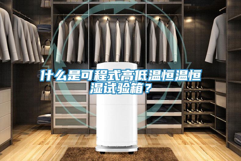 什麽是可程式高低溫恒溫恒濕試驗箱？