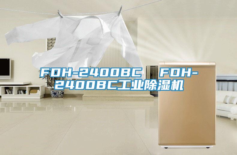 FDH-2400BC  FDH-2400BC工業草莓污视频在线看