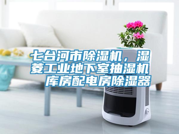 七台河市草莓污视频在线看，濕菱工業地下室抽濕機  庫房配電房除濕器