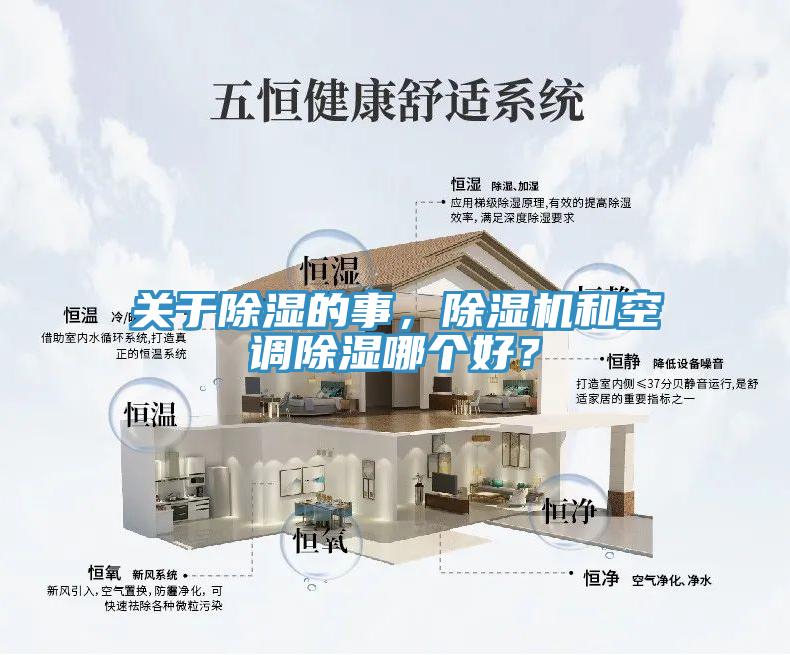 關於除濕的事，草莓污视频在线看和空調除濕哪個好？
