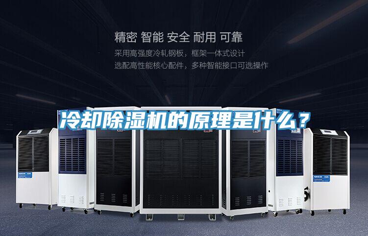 冷卻草莓污视频在线看的原理是什麽？